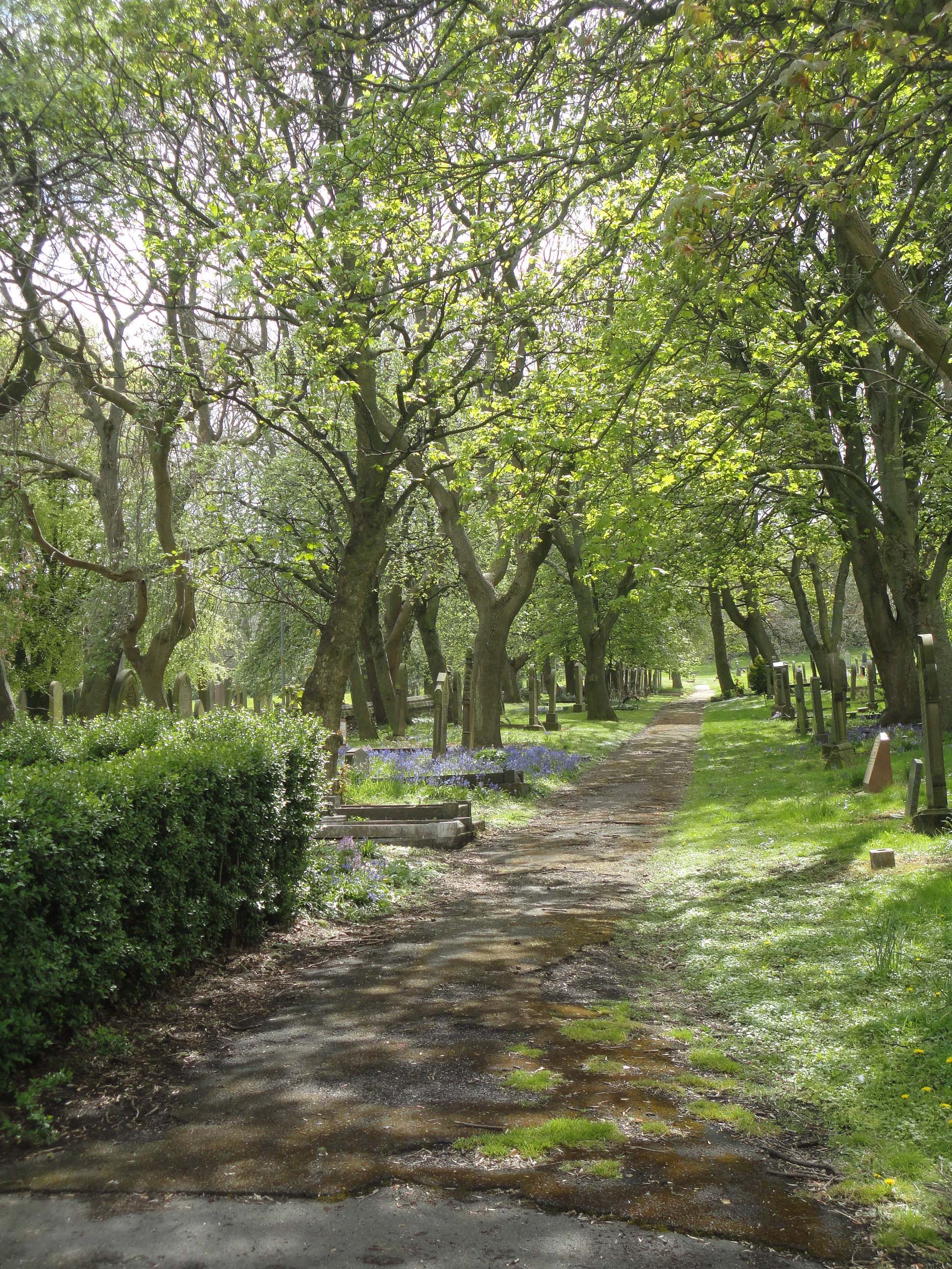 Snee Inside Gateshead East Cemetery
